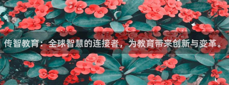 新宝5现在还能玩吗