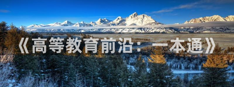 新宝堂新会陈皮5年