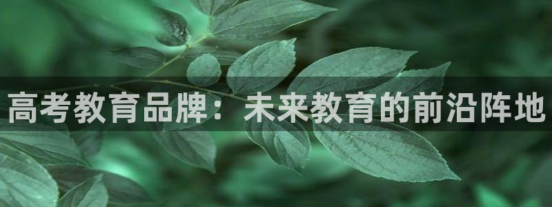 新宝5官网67五壹叁八