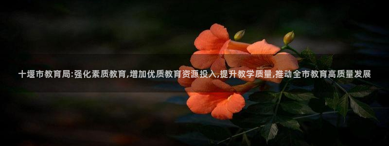 新宝5下载 迅雷下载