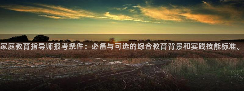 新宝堂新会陈皮5年