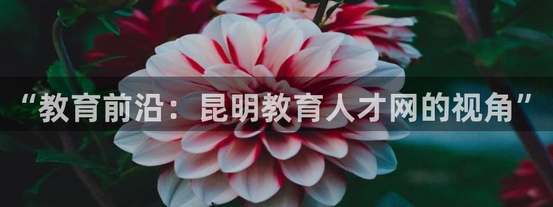 新宝5app手机下载