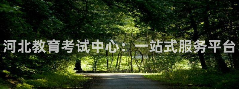 新宝5怎么下载到桌面