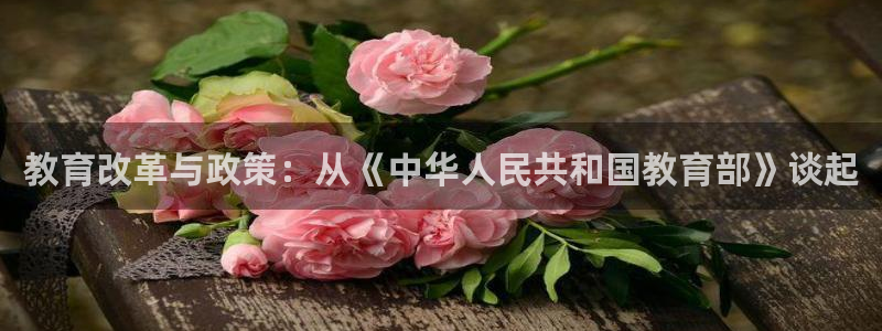 新宝5是谁