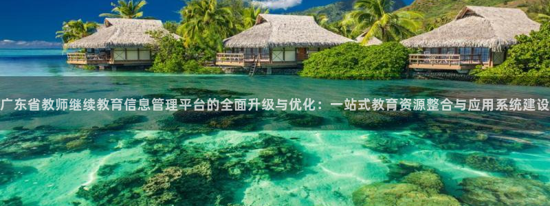 新宝5app手机下载