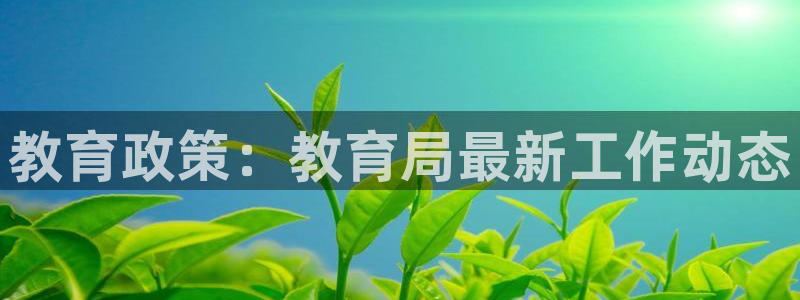 新宝股东瞧听2 5 5