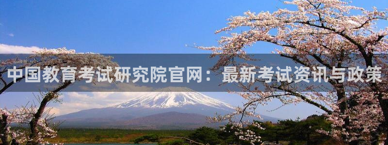 新宝5公司