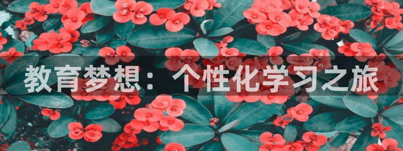 新宝5日740005蔻