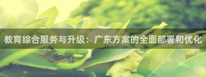 新宝5平台咋样